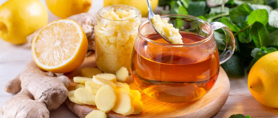 Warsztaty zielarskie - „Korzenie, czyli tajemnica podziemnego świata”