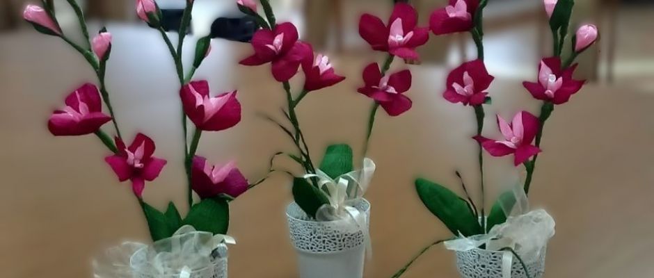 Warsztaty kreatywne dla seniorów - storczyki z krepiny