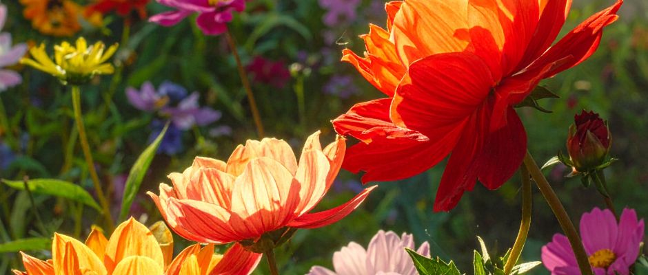 Warsztaty „Rabata krok po kroku” 