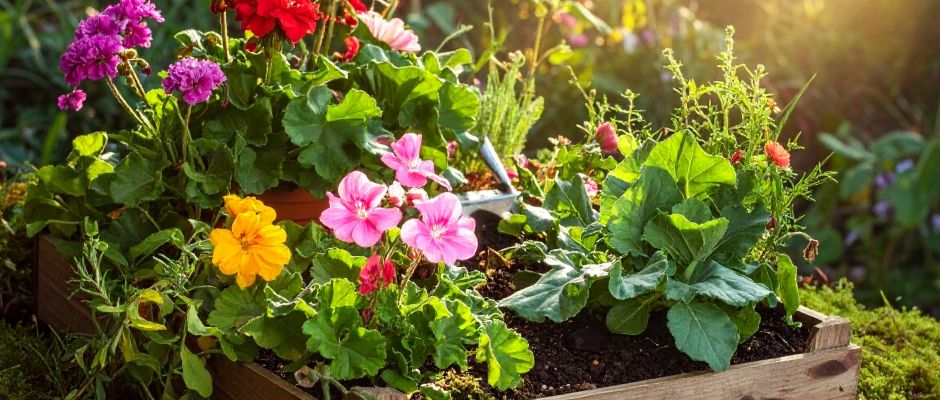 Warsztaty edukacyjno-przyrodnicze „Zielona baza małego ogrodnika” 