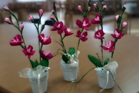 Warsztaty kreatywne dla seniorów - storczyki z krepiny