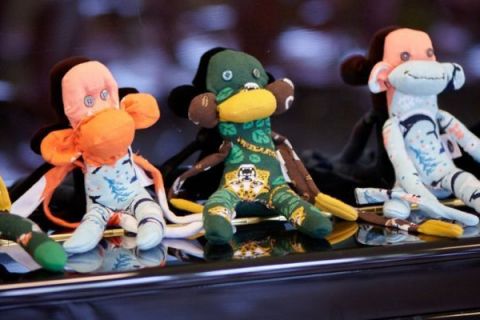 Charytatywna akcja szycia małpek