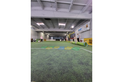 Zajęcia ogólnorozwojowe dla rodziców z dziećmi 3-5 lat