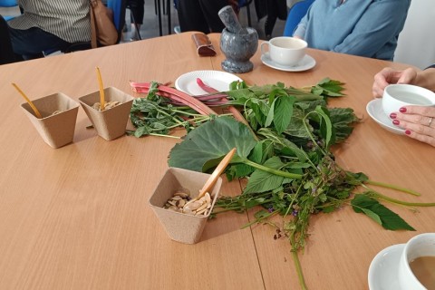 Warsztaty zielarskie dla seniorów -„Moc ukryta w nasionach i liściach”