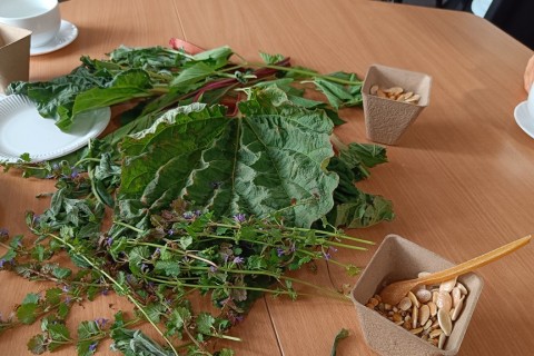 Warsztaty zielarskie dla seniorów -„Moc ukryta w nasionach i liściach”