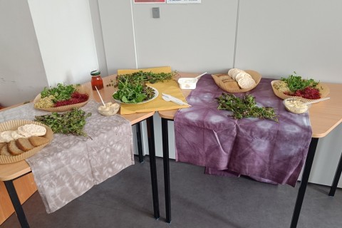 Warsztaty zielarskie dla seniorów -„Moc ukryta w nasionach i liściach”