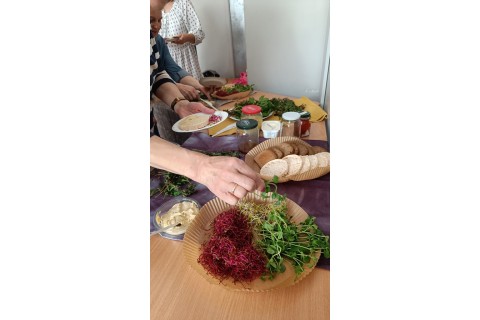 Warsztaty zielarskie dla seniorów -„Moc ukryta w nasionach i liściach”