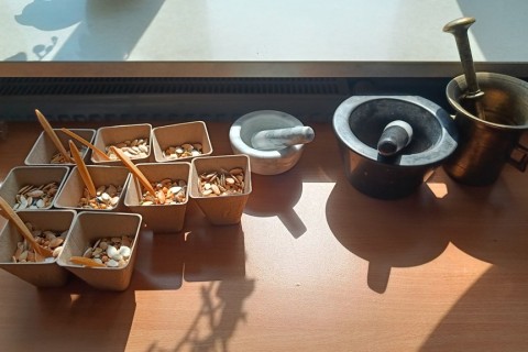 Warsztaty zielarskie dla seniorów -„Moc ukryta w nasionach i liściach”