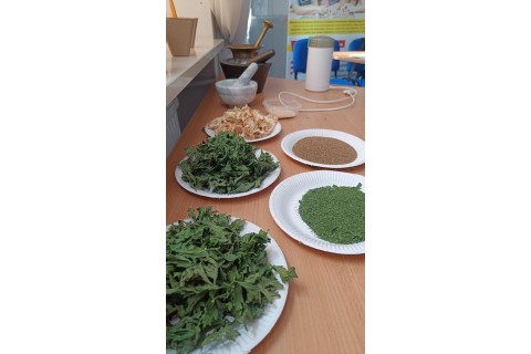 Warsztaty zielarskie dla seniorów -„Moc ukryta w nasionach i liściach”