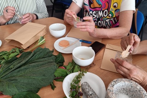 Warsztaty zielarskie dla seniorów -„Moc ukryta w nasionach i liściach”