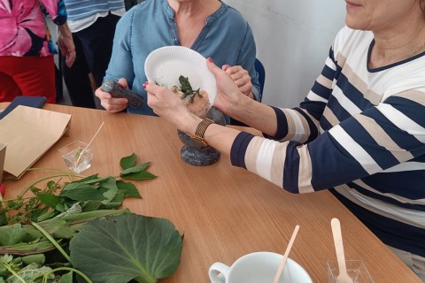 Warsztaty zielarskie dla seniorów -„Moc ukryta w nasionach i liściach”