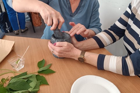 Warsztaty zielarskie dla seniorów -„Moc ukryta w nasionach i liściach”