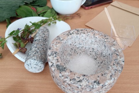 Warsztaty zielarskie dla seniorów -„Moc ukryta w nasionach i liściach”