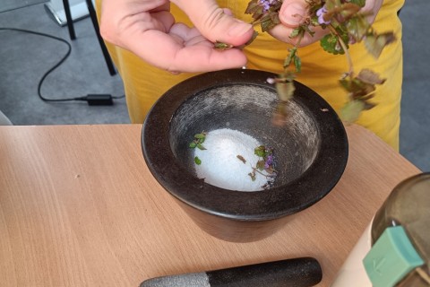 Warsztaty zielarskie dla seniorów -„Moc ukryta w nasionach i liściach”