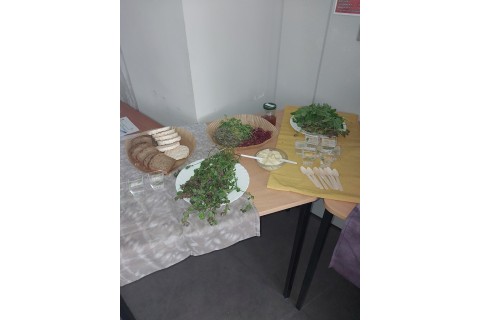 Warsztaty zielarskie - „Moc ukryta w nasionach i liściach”