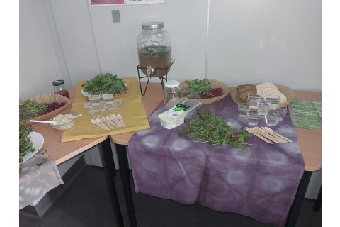 Warsztaty zielarskie - „Moc ukryta w nasionach i liściach”