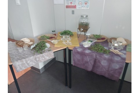 Warsztaty zielarskie - „Moc ukryta w nasionach i liściach”