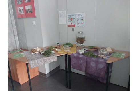 Warsztaty zielarskie - „Moc ukryta w nasionach i liściach”