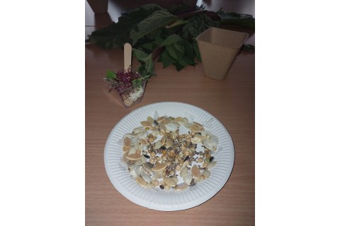 Warsztaty zielarskie - „Moc ukryta w nasionach i liściach”