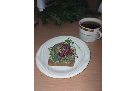 Warsztaty zielarskie - „Moc ukryta w nasionach i liściach”