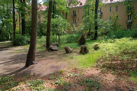 Spacer seniorów - Białystok w okresie międzywojennym