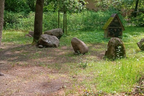 Spacer seniorów - Białystok w okresie międzywojennym