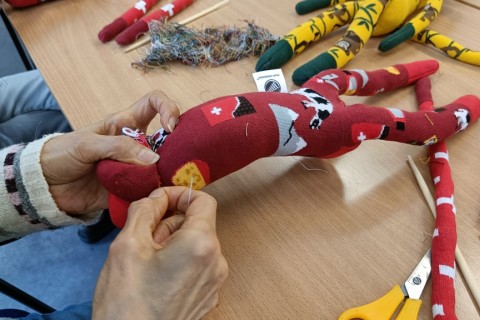 Charytatywna akcja szycia małpek