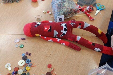 Charytatywna akcja szycia małpek