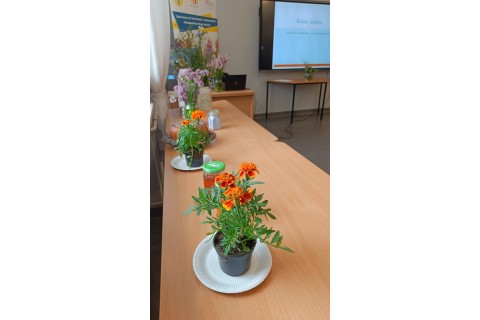 Warsztaty zielarskie dla seniorów -„Kwiaty, które karmią i leczą”