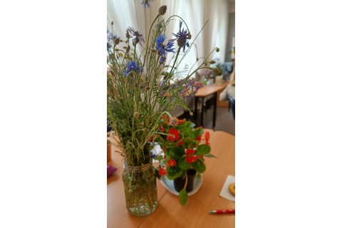 Warsztaty zielarskie dla seniorów -„Kwiaty, które karmią i leczą”