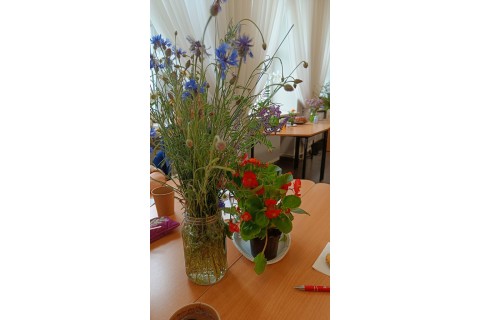 Warsztaty zielarskie dla seniorów -„Kwiaty, które karmią i leczą”