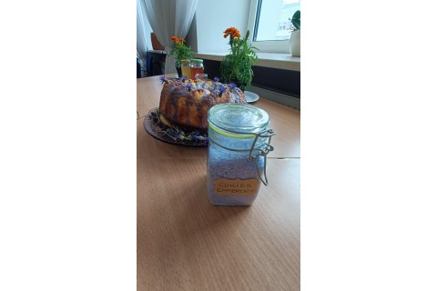 Warsztaty zielarskie dla seniorów -„Kwiaty, które karmią i leczą”