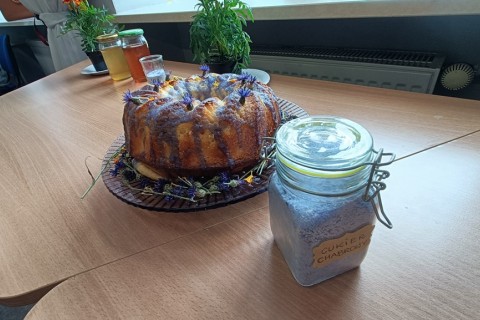 Warsztaty zielarskie dla seniorów -„Kwiaty, które karmią i leczą”