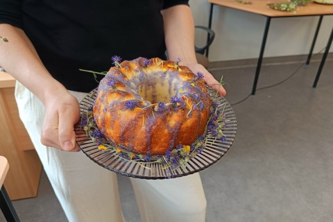 Warsztaty zielarskie dla seniorów -„Kwiaty, które karmią i leczą”