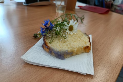 Warsztaty zielarskie dla seniorów -„Kwiaty, które karmią i leczą”