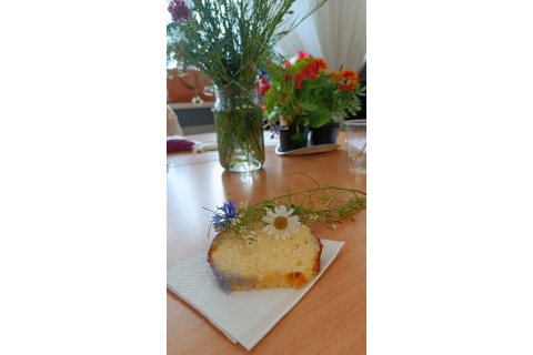 Warsztaty zielarskie dla seniorów -„Kwiaty, które karmią i leczą”