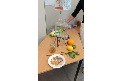 Warsztaty zielarskie dla seniorów -„Kwiaty, które karmią i leczą”