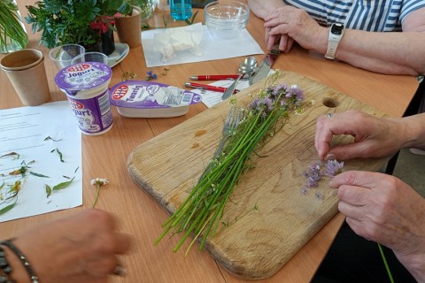 Warsztaty zielarskie dla seniorów -„Kwiaty, które karmią i leczą”