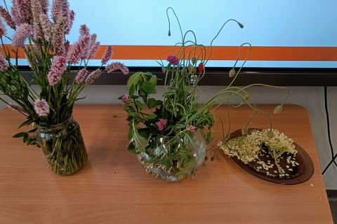 Warsztaty zielarskie dla seniorów -„Kwiaty, które karmią i leczą”