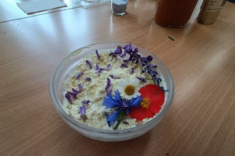 Warsztaty zielarskie dla seniorów -„Kwiaty, które karmią i leczą”