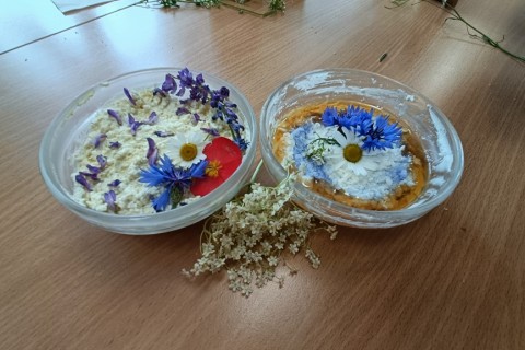 Warsztaty zielarskie dla seniorów -„Kwiaty, które karmią i leczą”