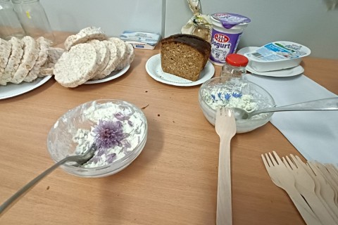 Warsztaty zielarskie dla seniorów -„Kwiaty, które karmią i leczą”