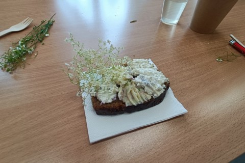 Warsztaty zielarskie dla seniorów -„Kwiaty, które karmią i leczą”