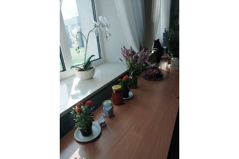 Warsztaty zielarskie - „Kwiaty, które karmią i leczą”