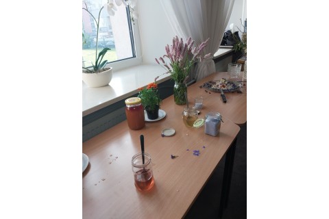 Warsztaty zielarskie - „Kwiaty, które karmią i leczą”