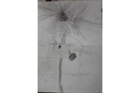 Zajęcia plastyczne dla dzieci 8 -12 lat