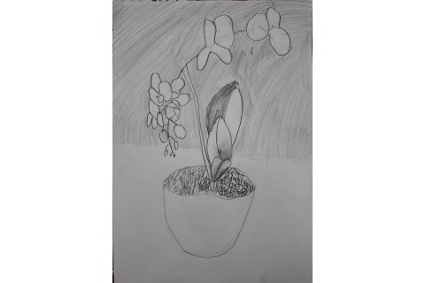 Zajęcia plastyczne dla dzieci 8 -12 lat