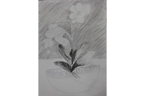 Zajęcia plastyczne dla dzieci 8 -12 lat