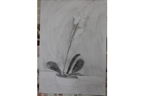 Zajęcia plastyczne dla dzieci 8 -12 lat