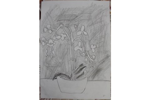 Zajęcia plastyczne dla dzieci 8 -12 lat